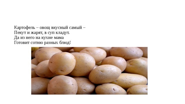 Картофель – овощ вкусный самый –  Пекут и жарят, в суп кладут.  Да из него на кухне мама  Готовит сотню разных блюд! 