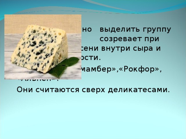      Хочется отдельно      выделить группу      сыров, которая      созревает при участии     плесени внутри сыра и     на его поверхности.  Это сыры – «Камамбер»,«Рокфор», «Альпен».  Они считаются сверх деликатесами.  