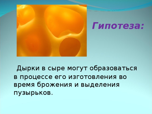 Гипотеза:       Дырки в сыре могут образоваться в процессе его изготовления во время брожения и выделения пузырьков.   