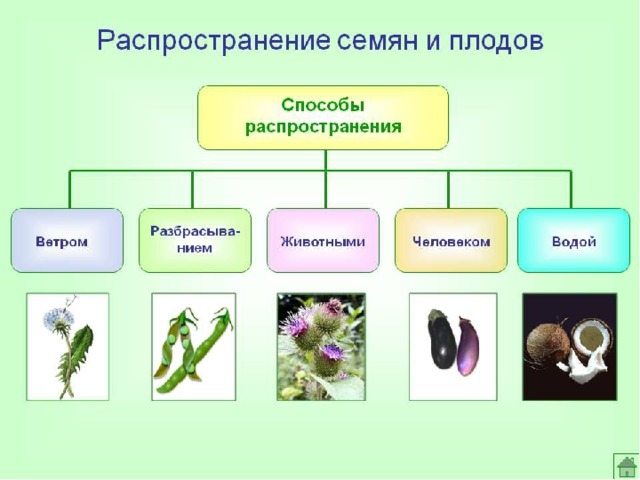 А Э 