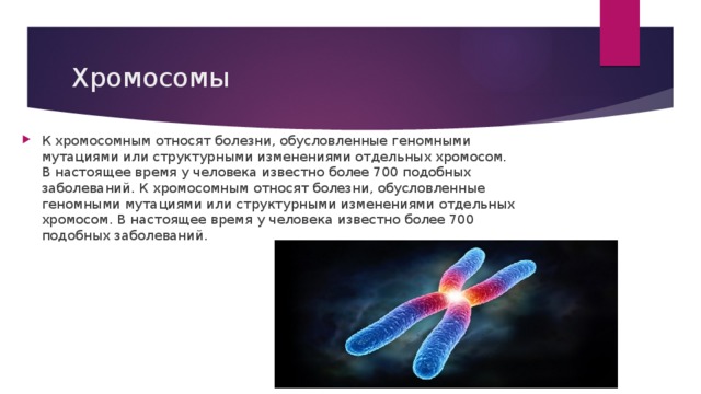Хромосомы К хромосомным относят болезни, обусловленные геномными мутациями или структурными изменениями отдельных хромосом. В настоящее время у человека известно более 700 подобных заболеваний. К хромосомным относят болезни, обусловленные геномными мутациями или структурными изменениями отдельных хромосом. В настоящее время у человека известно более 700 подобных заболеваний. 