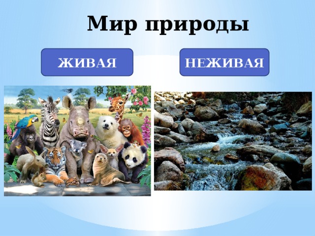 Мир природы ЖИВАЯ НЕЖИВАЯ 
