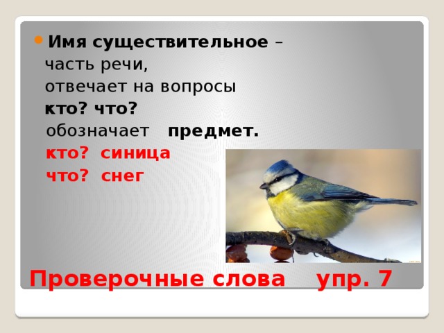 Имя существительное –  часть речи,  отвечает на вопросы  кто? что?  обозначает предмет.  кто? синица  что? снег Проверочные слова упр. 7 
