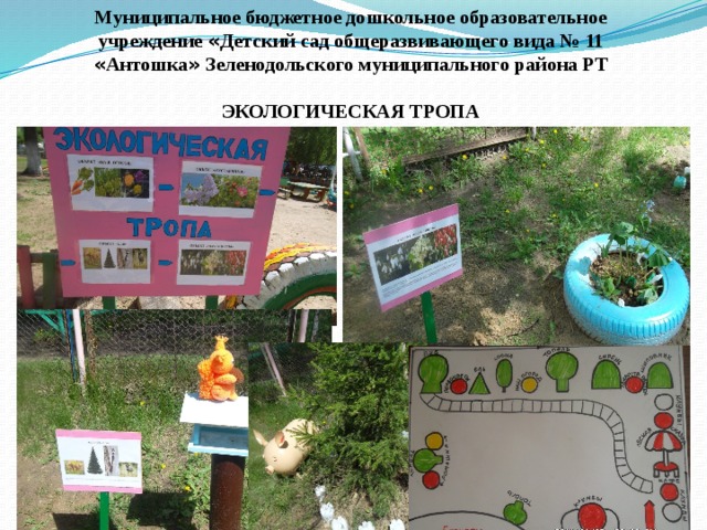 Муниципальное бюджетное дошкольное образовательное учреждение « Детский сад общеразвивающего вида № 11 « Антошка » Зеленодольского муниципального района РТ  ЭКОЛОГИЧЕСКАЯ ТРОПА 