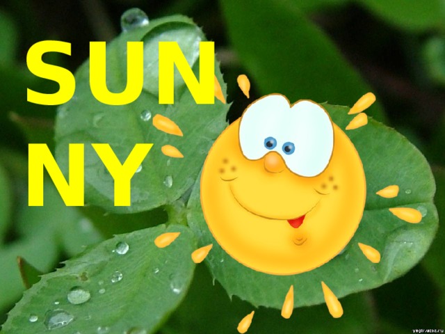 SUNNY 