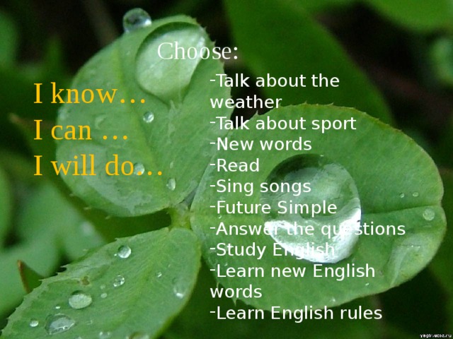 Complete the sentences. Choose: Talk about the weather Talk about sport New words Read Sing songs Future Simple Answer the questions Study English Learn new English words Learn English rules I know… I can … I will do… Dad and Jim will… Mum and Jill will… 3)They will … Dad and Jim will… Mum and Jill will… 3)They will … 