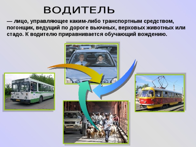 — лицо, управляющее каким-либо транспортным средством, погонщик, ведущий по дороге вьючных, верховых животных или стадо. К водителю приравнивается обучающий вождению. 