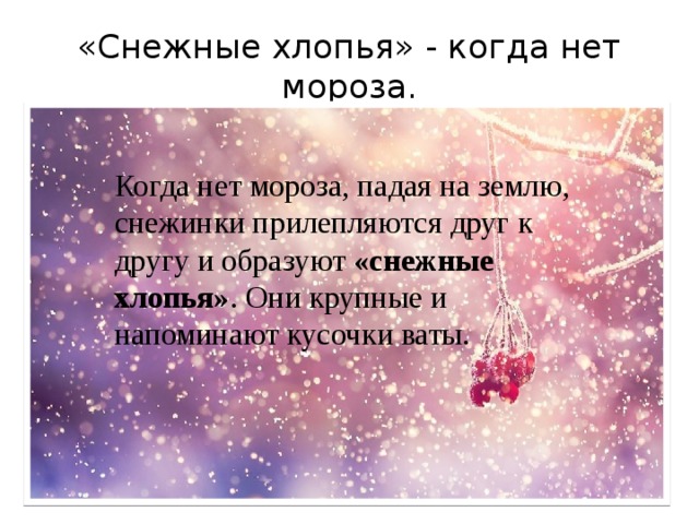 «Снежные хлопья» - когда нет мороза. Когда нет мороза, падая на землю, снежинки прилепляются друг к другу и образуют  «снежные хлопья» . Они крупные и напоминают кусочки ваты. 