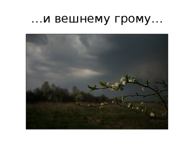 … и вешнему грому… 
