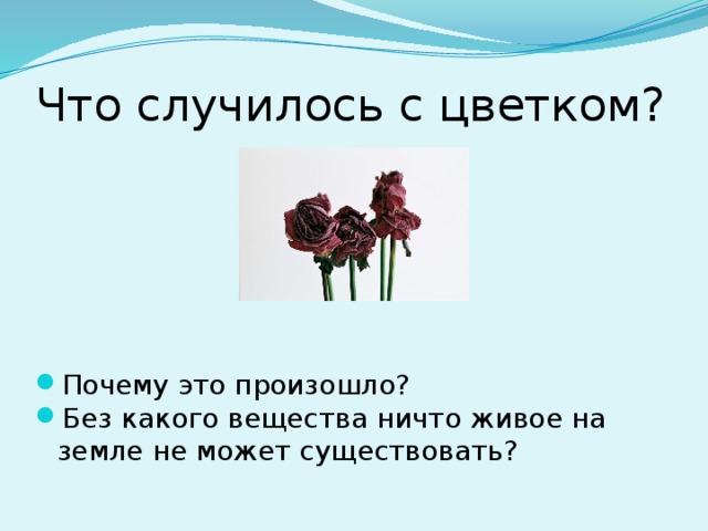 Что случилось с цветком? Почему это произошло? Без какого вещества ничто живое на земле не может существовать?  
