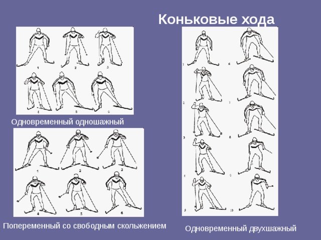 Коньковые хода Одновременный одношажный Попеременный со свободным скольжением Одновременный двухшажный 