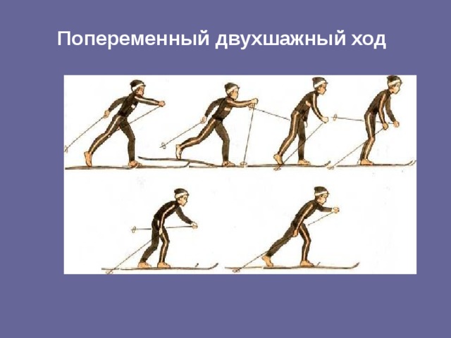 Попеременный двухшажный ход 