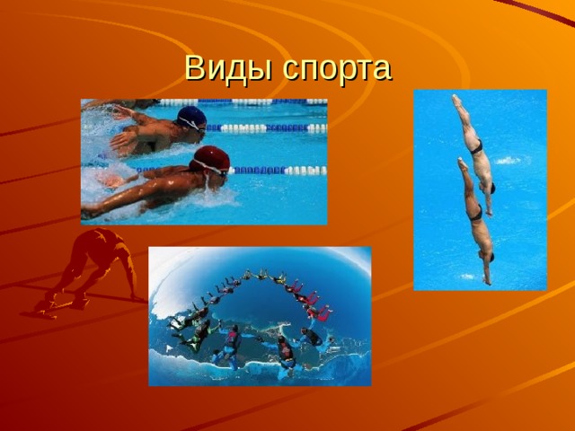 Виды спорта 