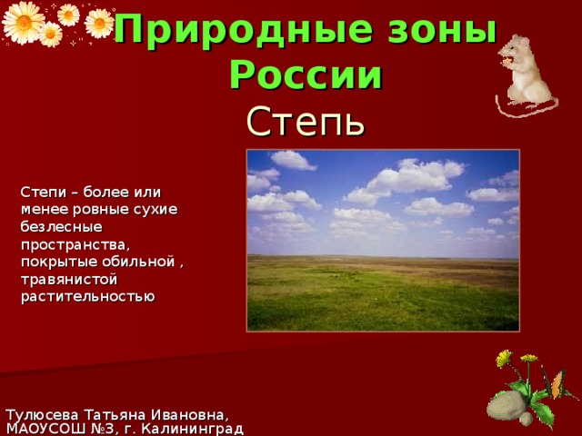 Природные зоны России  Степь Степи – более или менее ровные сухие безлесные пространства, покрытые обильной , травянистой растительностью Тулюсева Татьяна Ивановна, МАОУСОШ №3, г. Калининград 