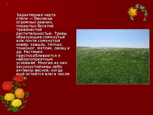 1  Характерная черта степи — безлесье огромных равнин, покрытых богатой травянистой растительностью. Травы, образующие сомкнутый или почти сомкнутый ковёр: ковыль, типчак, тонконог, мятлик, овсец и др. Растения приспосабливаются к неблагоприятным условиям. Многие из них засухоустойчивы либо активны весной, когда ещё остаётся влага после зимы. 