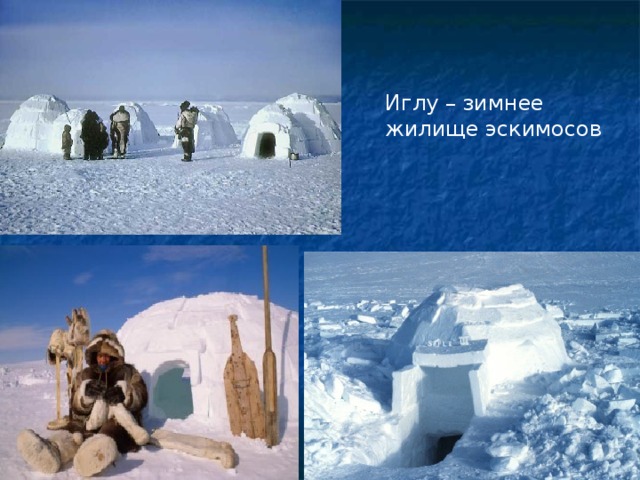 1 Иглу – зимнее жилище эскимосов 1 