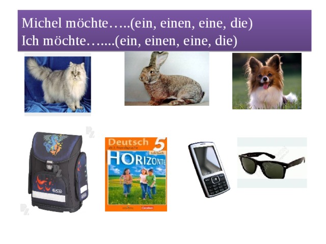  Michel möchte…..(ein, einen, eine, die)  Ich möchte…....(ein, einen, eine, die)   