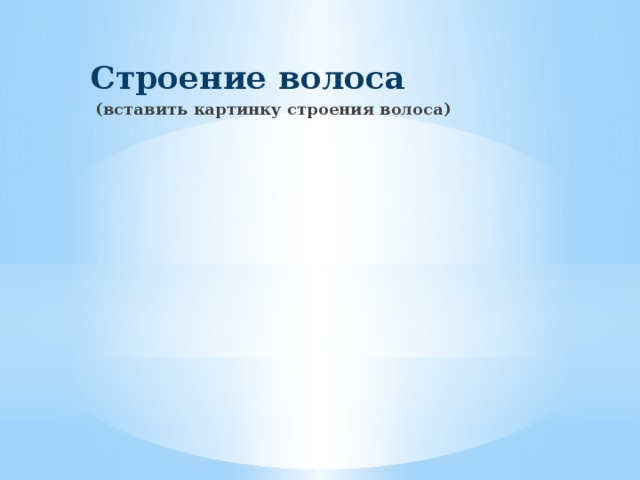 Строение волоса  (вставить картинку строения волоса) 