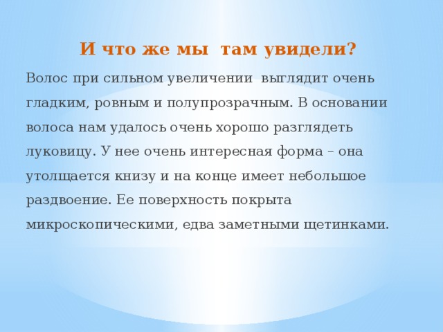 И что же мы там увидели? Волос при сильном увеличении выглядит очень гладким, ровным и полупрозрачным. В основании волоса нам удалось очень хорошо разглядеть луковицу. У нее очень интересная форма – она утолщается книзу и на конце имеет небольшое раздвоение. Ее поверхность покрыта микроскопическими, едва заметными щетинками. 