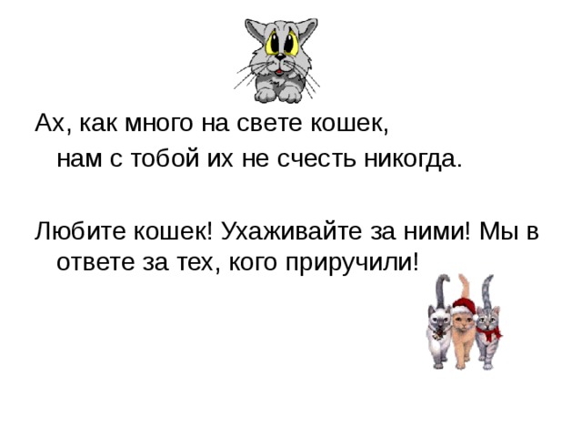 Ах, как много на свете кошек,  нам с тобой их не счесть никогда.   Любите кошек! Ухаживайте за ними! Мы в ответе за тех, кого приручили!   