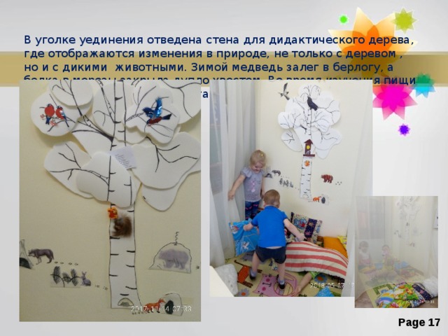 В уголке уединения отведена стена для дидактического дерева, где отображаются изменения в природе, не только с деревом , но и с дикими животными. Зимой медведь залег в берлогу, а белка в морозы закрыла дупло хвостом. Во время изучения пищи диких животных мы располагали около них рисунки или продукты их питания. 