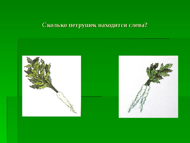 Сколько петрушек находится слева? 