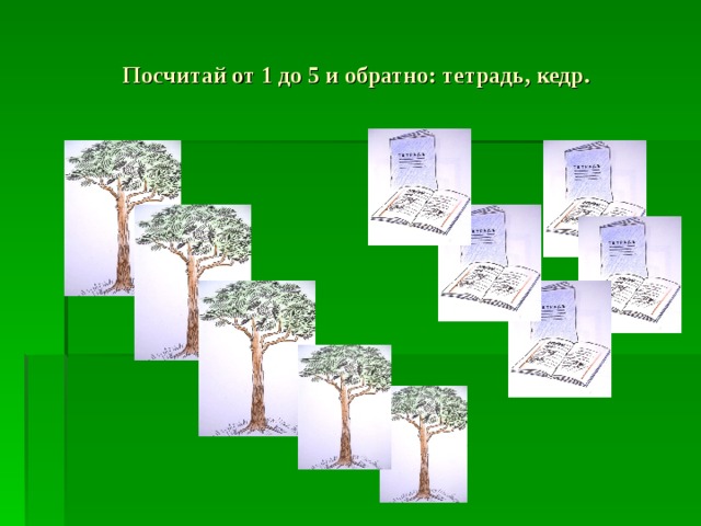 Посчитай от 1 до 5 и обратно: тетрадь, кедр. 