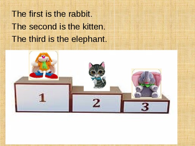 The first is the rabbit. The second is the kitten. The third is the elephant. 