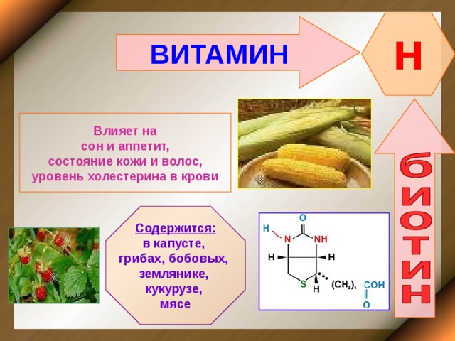 H ВИТАМИН    Влияет на  сон и аппетит, состояние кожи и волос, уровень холестерина в крови   Содержится: в капусте, грибах, бобовых, землянике, кукурузе, мясе 