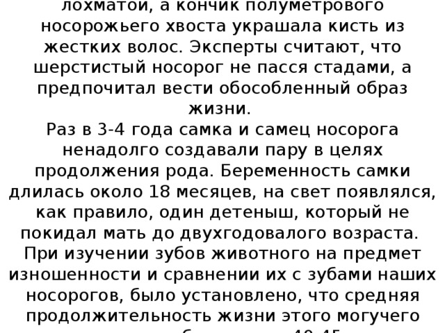 Шерсть на загривке была особенно длинной и лохматой, а кончик полуметрового носорожьего хвоста украшала кисть из жестких волос. Эксперты считают, что шерстистый носорог не пасся стадами, а предпочитал вести обособленный образ жизни.  Раз в 3-4 года самка и самец носорога ненадолго создавали пару в целях продолжения рода. Беременность самки длилась около 18 месяцев, на свет появлялся, как правило, один детеныш, который не покидал мать до двухгодовалого возраста.  При изучении зубов животного на предмет изношенности и сравнении их с зубами наших носорогов, было установлено, что средняя продолжительность жизни этого могучего травоядного была около 40-45 лет.   