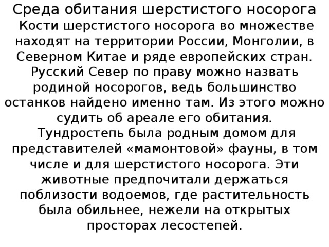 Среда обитания шерстистого носорога  Кости шерстистого носорога во множестве находят на территории России, Монголии, в Северном Китае и ряде европейских стран. Русский Север по праву можно назвать родиной носорогов, ведь большинство останков найдено именно там. Из этого можно судить об ареале его обитания.  Тундростепь была родным домом для представителей «мамонтовой» фауны, в том числе и для шерстистого носорога. Эти животные предпочитали держаться поблизости водоемов, где растительность была обильнее, нежели на открытых просторах лесостепей.   