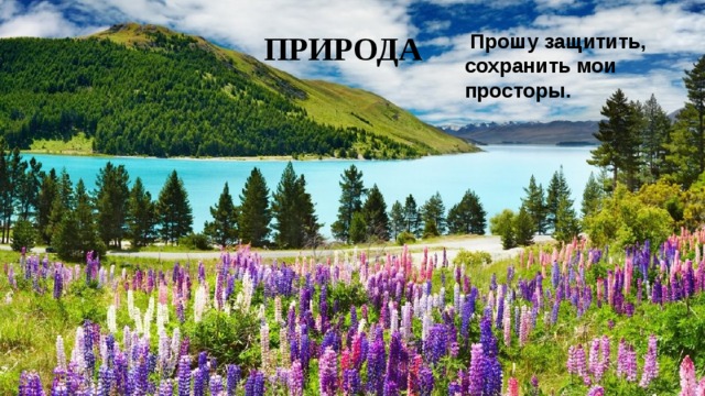  Прошу защитить, сохранить мои просторы.    ПРИРОДА 