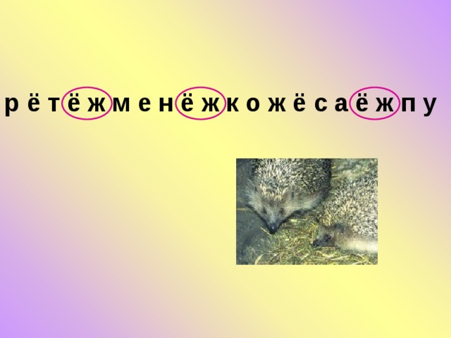 р ё т ё ж м е н ё ж к о ж ё с а ё ж п у 