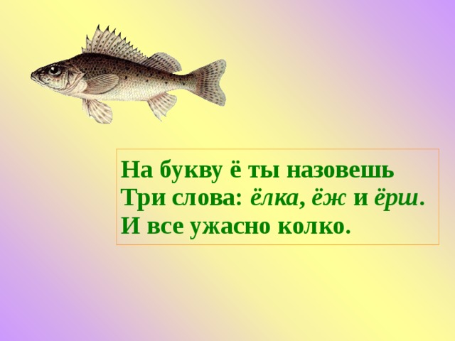 На букву ё ты назовешь  Три слова: ёлка , ёж и ёрш .  И все ужасно колко. 