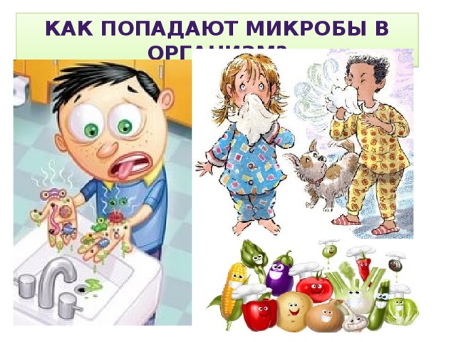 Как попадают микробы В организм? 