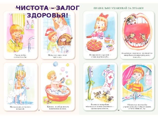 Чистота – залог здоровья! 