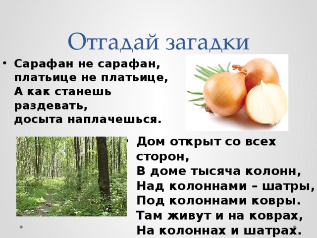 Отгадай загадки Сарафан не сарафан,  платьице не платьице,  А как станешь раздевать,  досыта наплачешься. Дом открыт со всех сторон,   В доме тысяча колонн,   Над колоннами – шатры,   Под колоннами ковры.   Там живут и на коврах,   На колоннах и шатрах. 