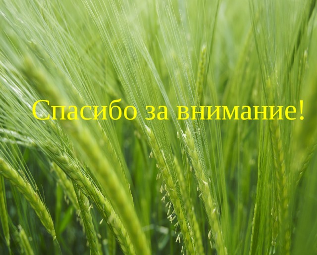 Спасибо за внимание! 