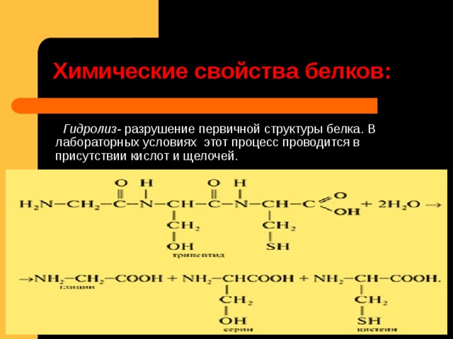      Химические свойства белков:     Гидролиз - разрушение первичной структуры белка. В лабораторных условиях  этот процесс проводится в присутствии кислот и щелочей.  
