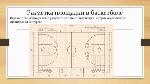 Разметка площадки в баскетболе Игровое поле можно условно разделить на пять составляющих, которые очерчиваются специальным контуром: 