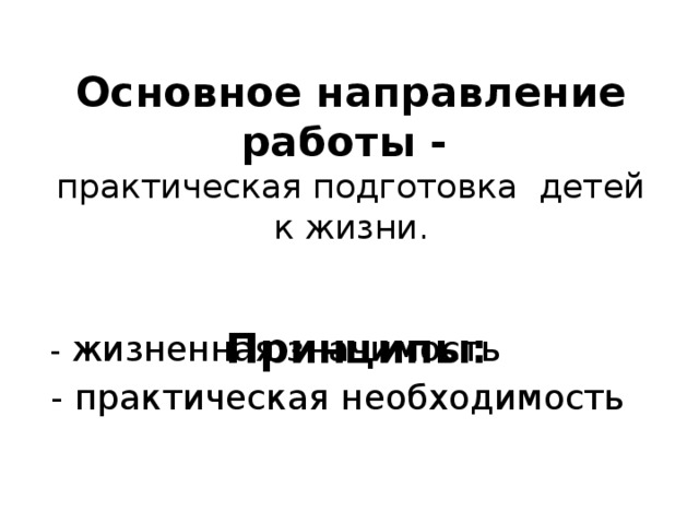 Основное направление работы -  практическая подготовка детей к жизни.     Принципы:     - жизненная значимость  - практическая необходимость 