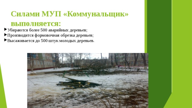 Силами МУП «Коммунальщик» выполняется:  Убираются более 500 аварийных деревьев; Производится формовочная обрезка деревьев; Высаживается до 500 штук молодых деревьев. 