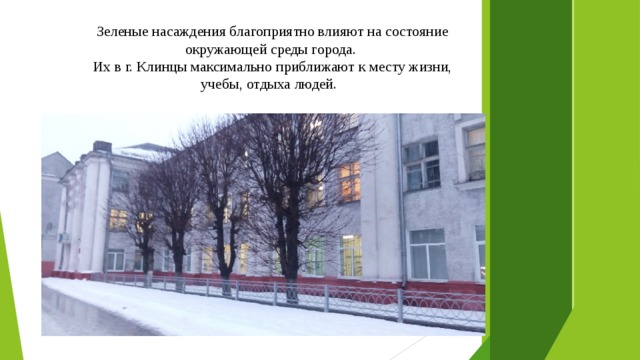 Зеленые насаждения благоприятно влияют на состояние окружающей среды города. Их в г. Клинцы максимально приближают к месту жизни, учебы, отдыха людей. 