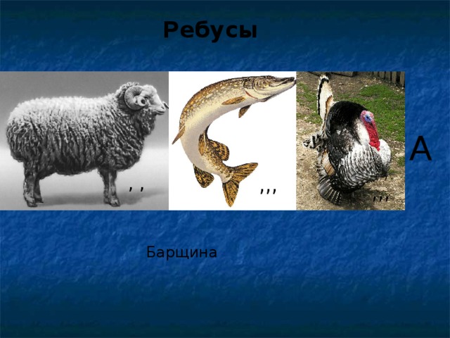  Ребусы  А , , ,,, ,,,  Барщина 