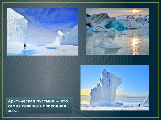 Арктическая пустыня — это самая северная природная зона . 