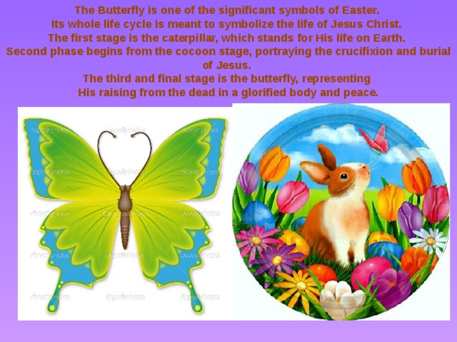 The Butterfly is one of the significant symbols of Easter. Its whole life cycle is meant to symbolize the life of Jesus Christ. The first stage is the caterpillar, which stands for His life on Earth. Second phase begins from the cocoon stage, portraying the crucifixion and burial of Jesus. The third and final stage is the butterfly, representing His raising from the dead in a glorified body and peace. 