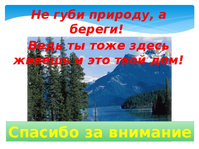 Не губи природу, а береги! Ведь ты тоже здесь живёшь и это твой дом! Спасибо за внимание 