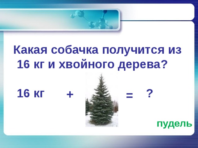    Какая собачка получится из 16 кг и хвойного дерева?    16 кг ? + =  пудель 