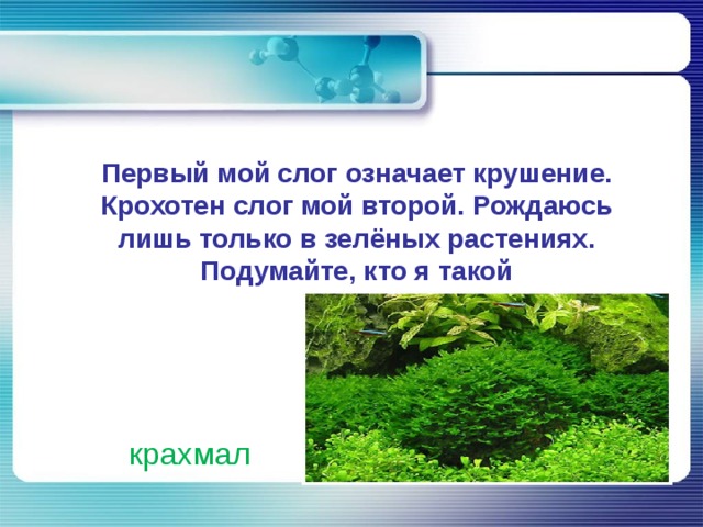 Первый мой слог означает крушение. Крохотен слог мой второй. Рождаюсь лишь только в зелёных растениях. Подумайте, кто я такой крахмал 