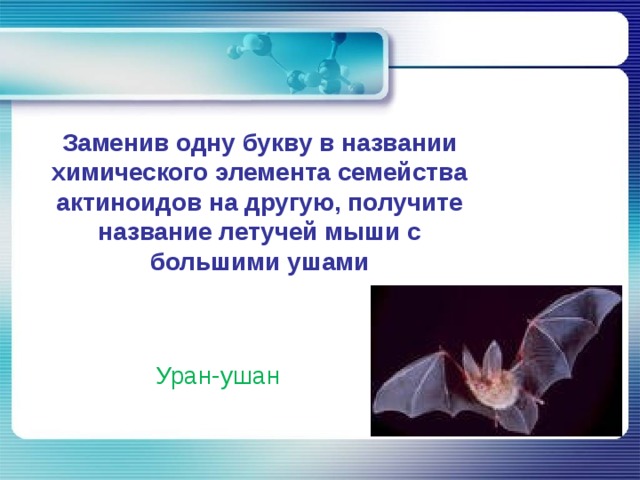 Заменив одну букву в названии химического элемента семейства актиноидов на другую, получите название летучей мыши с большими ушами Уран-ушан 